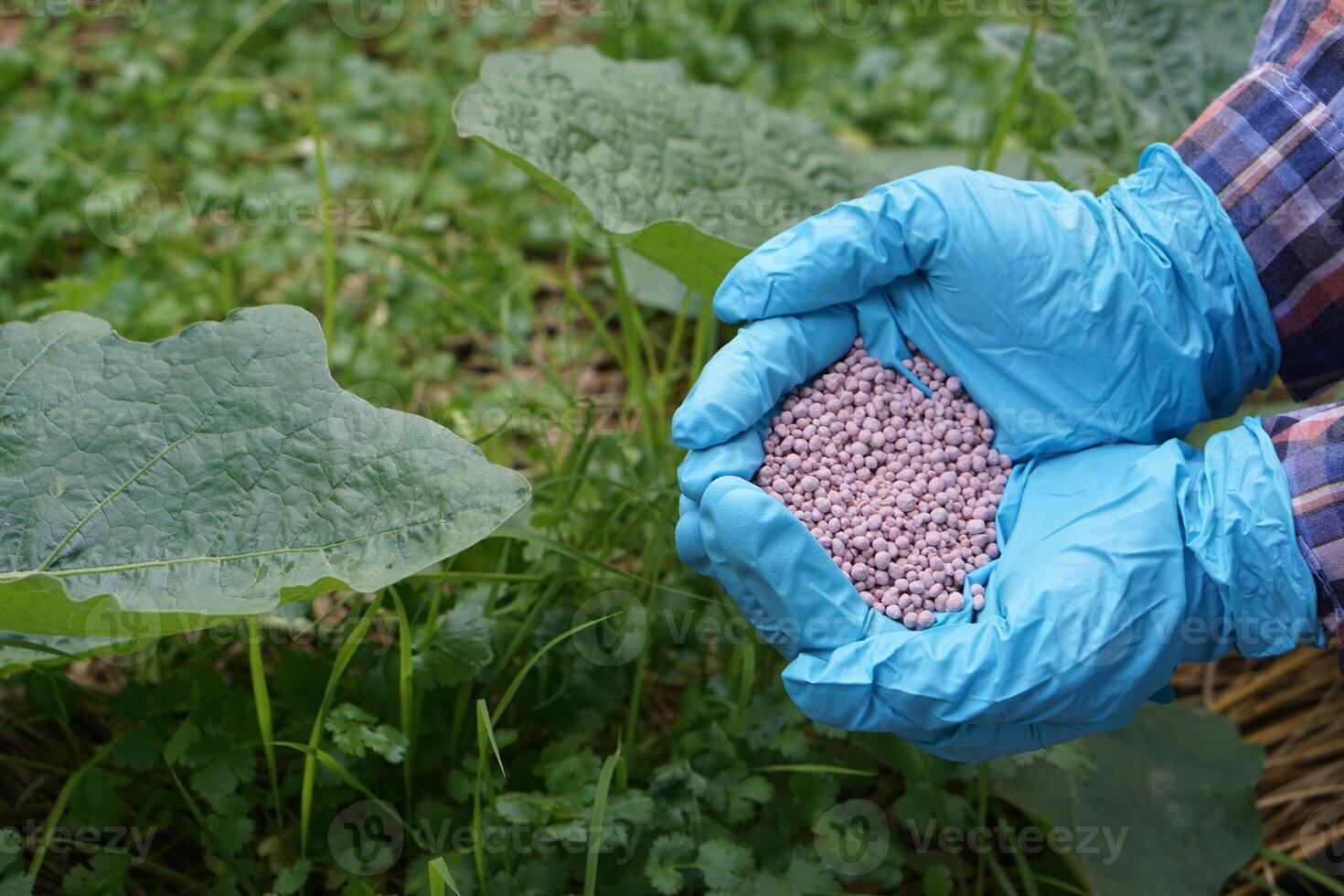 Fertilizers