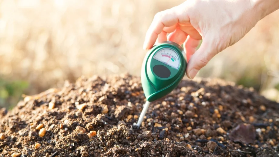 Soil Testing